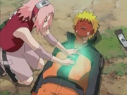 Sakura healing Naruto after Yamato subdued him.
