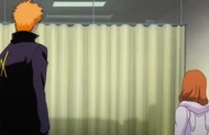 Ichigo visits Ishida
