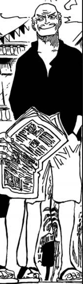 Poro Manga Post Timeskip Infobox