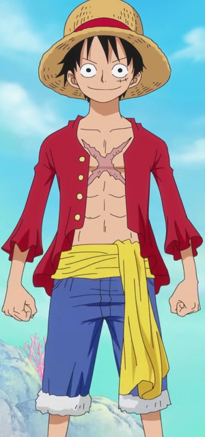 Monkey D. Luffy Anime Post Timeskip Infobox