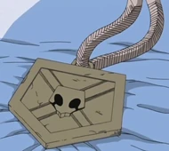 Ichigo's Substitute Shinigami Badge