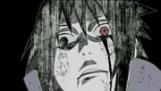 Sasuke's hatred overwhelms him as he ruthlessly sacrifices Karin.