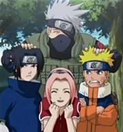 The official group photo of Team 7.