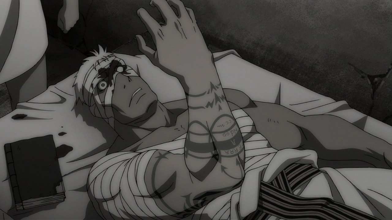 Scar Anime And Manga Universe Wiki Fandom