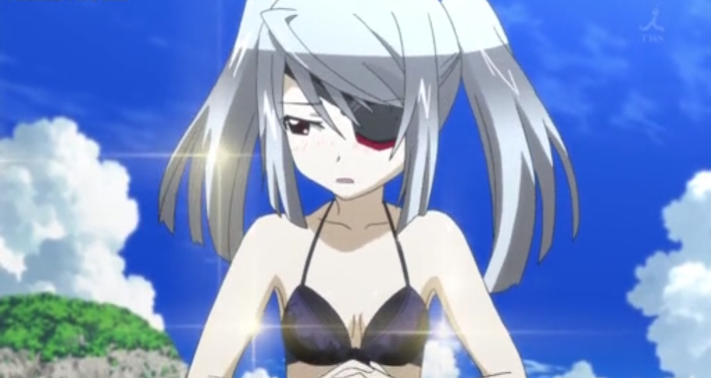 File:Infinite Stratos 2 1 3.png - Anime Bath Scene Wiki