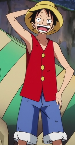 Monkey D. Luffy Anime Pre Timeskip Infobox.png