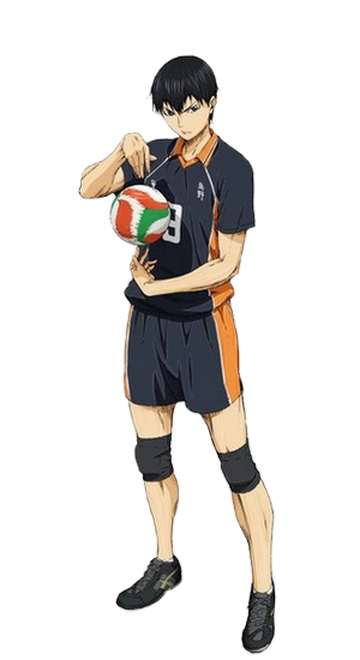 Haikyuu - Karasuno High / Characters - TV Tropes  Haikyuu kageyama, Anime  masculino, Personajes de anime