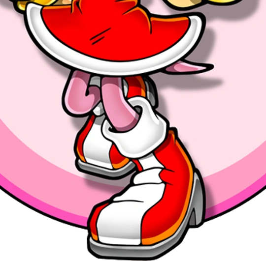 Amy Rose | AnimeHand and AnimeShoe Wiki | Fandom