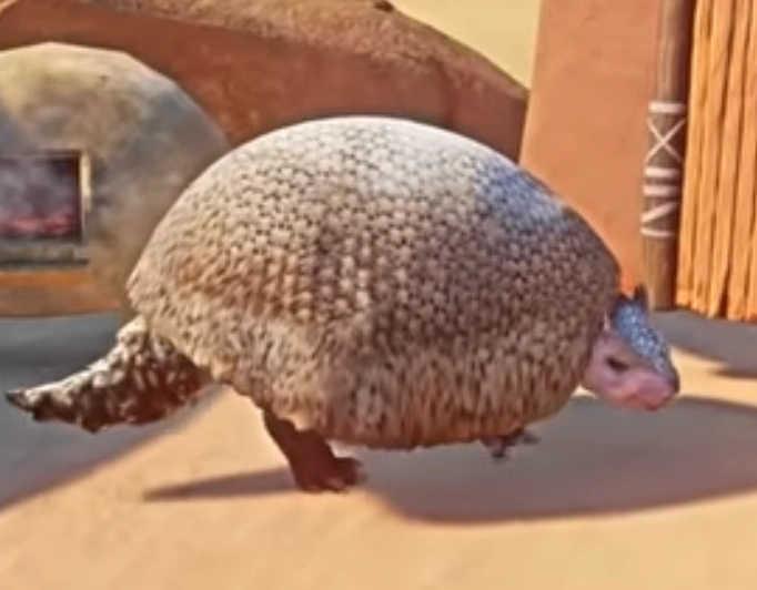 Glyptodon Clavipes | Animera-Crew Wiki | Fandom