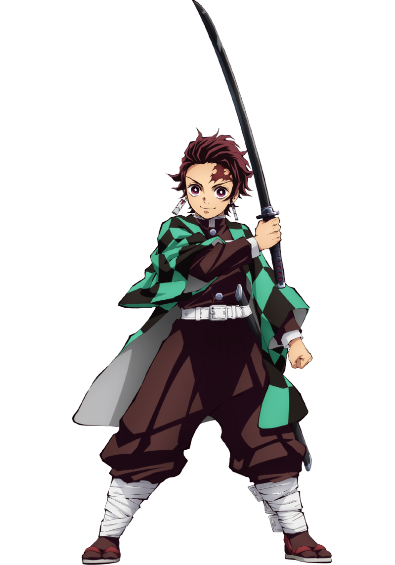 Tanjiro Kamado, Wiki Animes