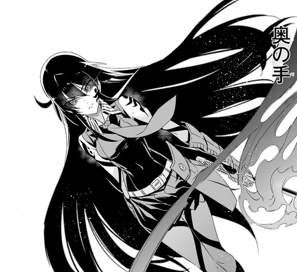 Akame (Akame Ga Kill) | Crossverse Wiki | Fandom