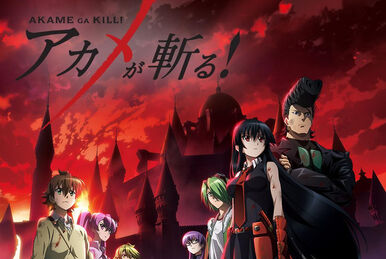 Akame ga Kill! (TV Series 2014) - Episode list - IMDb