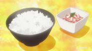 Rice and Shiokara