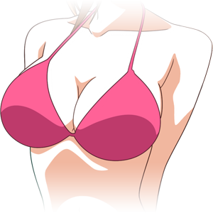 Big Boobs, AnimeVice Wiki