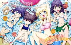 Yuinshel Asteria Image Gallery Animevice Wiki Fandom