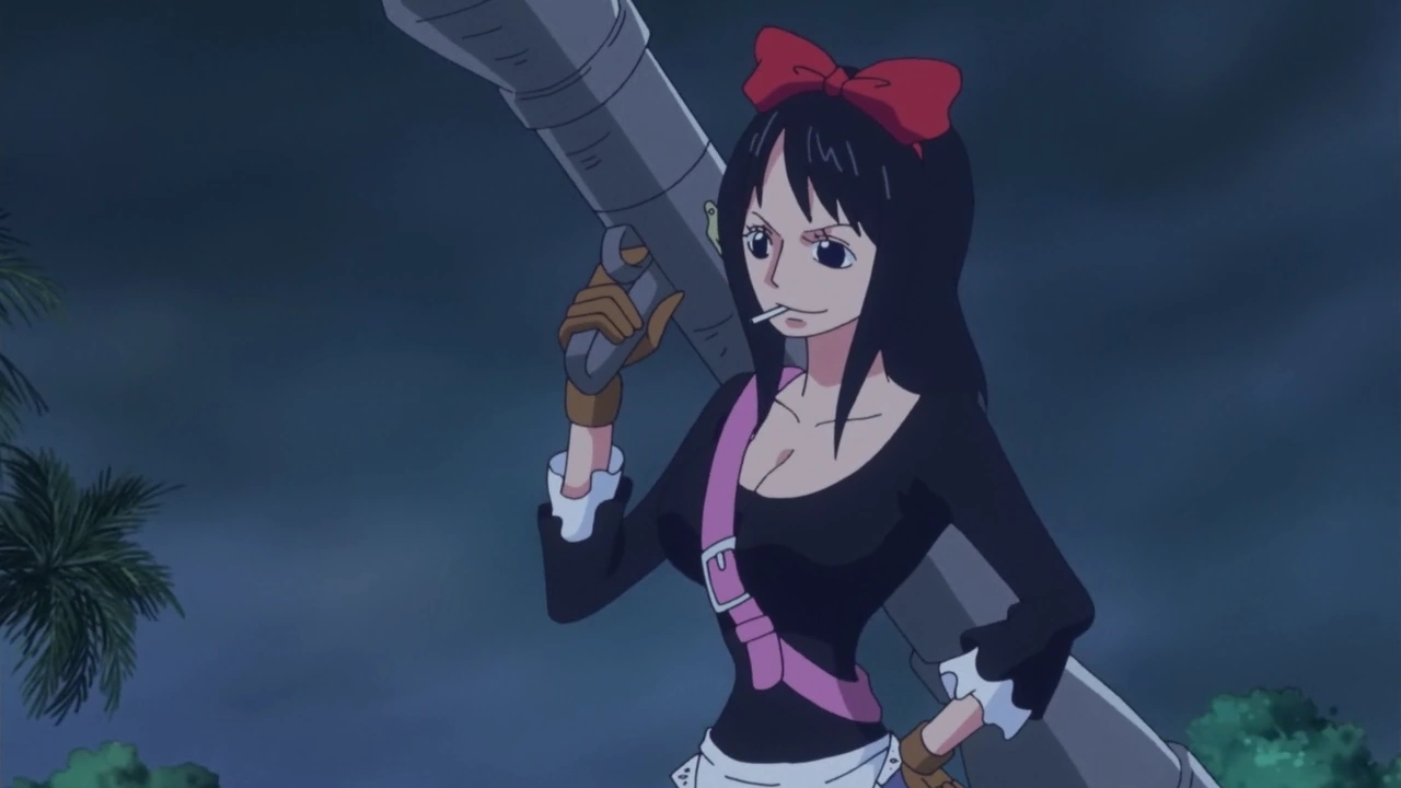 Category One Piece Franchise Animevice Wiki Fandom