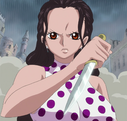 Episode 731 One Piece Image Gallery Animevice Wiki Fandom
