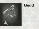 Gedd