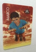 Marco morph card (elephant)