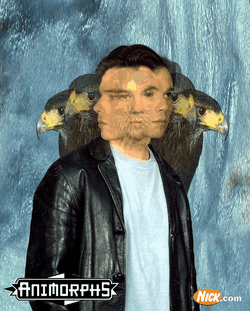 Tobias Animorphs 8.gif