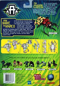 Transformers marco beetle scarabee on card back