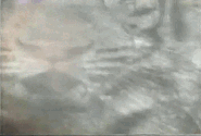 From the original opening credits