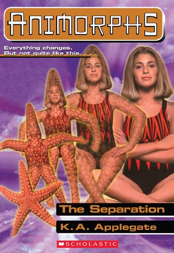 The Separation cover