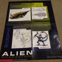 Animorphs Posters Seerowpedia Fandom