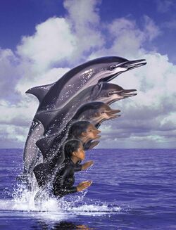 purple bottlenose dolphins