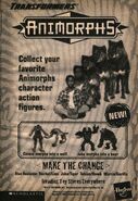 Ad for the Cassie/Wolf and Jake/Bear Transformers from The Experiment