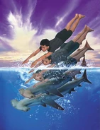 Animorphs escape book 15 marco shark cover image