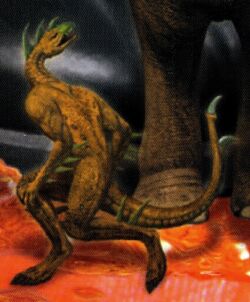 Tobias in Ket Halpak Morph.jpg