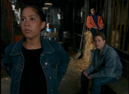 The Animorphs at Cassie's Barn