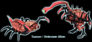 Taxxon/Alien Transformer in both modes