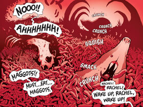 Shrew Nightmare