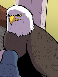 Bald Eagle GN2