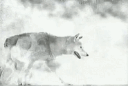 From the original opening credits
