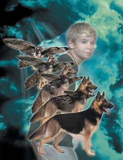 Tobias morphing Champ.jpg