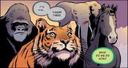 The Invasion (Graphic Novel)