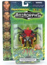Transformers marco beetle scarabee on card front