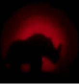 Andalite beam toy flashlight rhino image