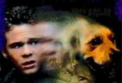 animorfos de shawn ashmore