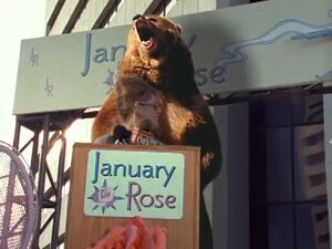 Rachel as Grizzly Bear from Changes (Part 1) 001