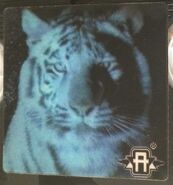 Jake/ Tiger lenticular sticker