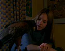 Racheltalkingtotobias.png