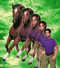 Animorphs 14 the unknown morph high res cassie horse