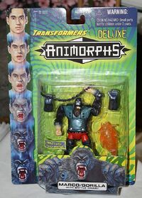 Transformers marco gorilla on card front