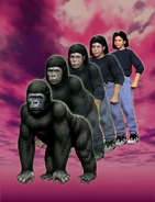 Marco morphing into a gorilla original cover art