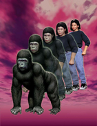 Marco morphing gorilla