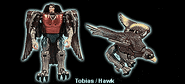 Tobiashawk